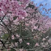 まあ