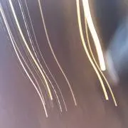 7ll（8〜11日発送❌）の画像