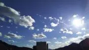 メロディ【7/29～8/5まで発送不可】の画像