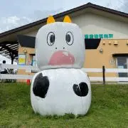 くらげちゃんの画像