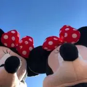 hiの画像