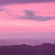 みーこの画像