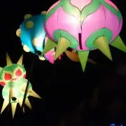 kazの画像