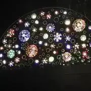 ミーコの画像