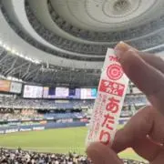 あーるてぃの画像