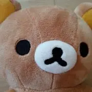 ミニ　プロフ一読願いますの画像