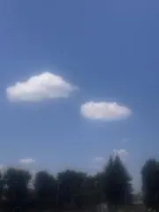 あろまるの画像