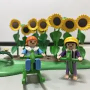 イチイチゴの画像