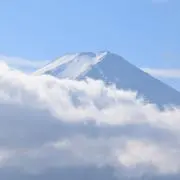 コギさんの画像