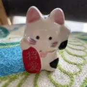 ちょこの画像