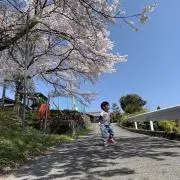 れいの画像