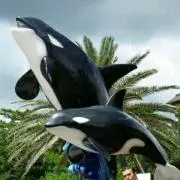 コロ※必ずプロフご確認後コメントくださいの画像