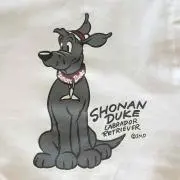 shonanbo