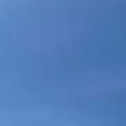 pの画像