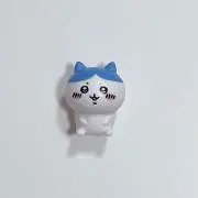 ハチコの画像
