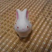 ひこの画像