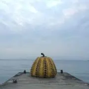 キノコ33の画像