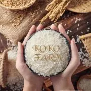 KOKO✴︎FARMの画像