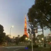 竺仙の画像