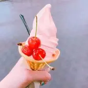 スコッティの画像