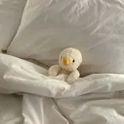 ちょびの画像