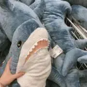 Piの画像