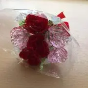 はるpさらpの画像