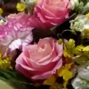 しゃっくりの画像