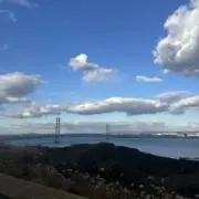 オーキド博士の画像