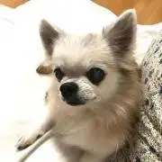 Kaiの画像