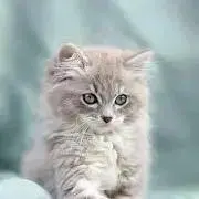 しおり＊断捨離中の画像