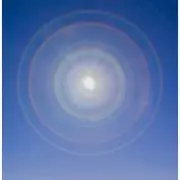 ととままの画像