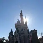 ちょべの画像