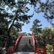 Tの画像