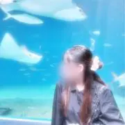 ここの画像