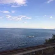 ロミロミの画像