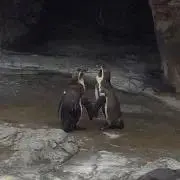 839の画像