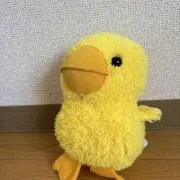 ひよっこ市⭐️即購入OKです⭐️の画像