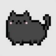 Neko