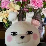 なーこの画像