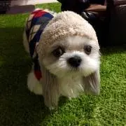 momomomoriyyy