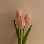 おうちゃんの画像