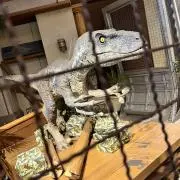 もん（プロフィール一読推奨）の画像