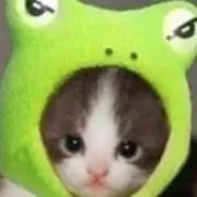 のんきの画像