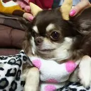 のりち
