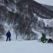きゅうりの画像