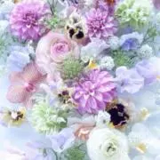 ももこの画像