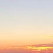 tの画像