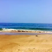 いっしー