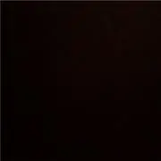 プロフ必読。即購入歓迎
